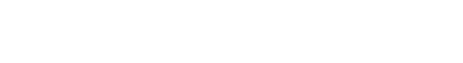 Wordmark Logo