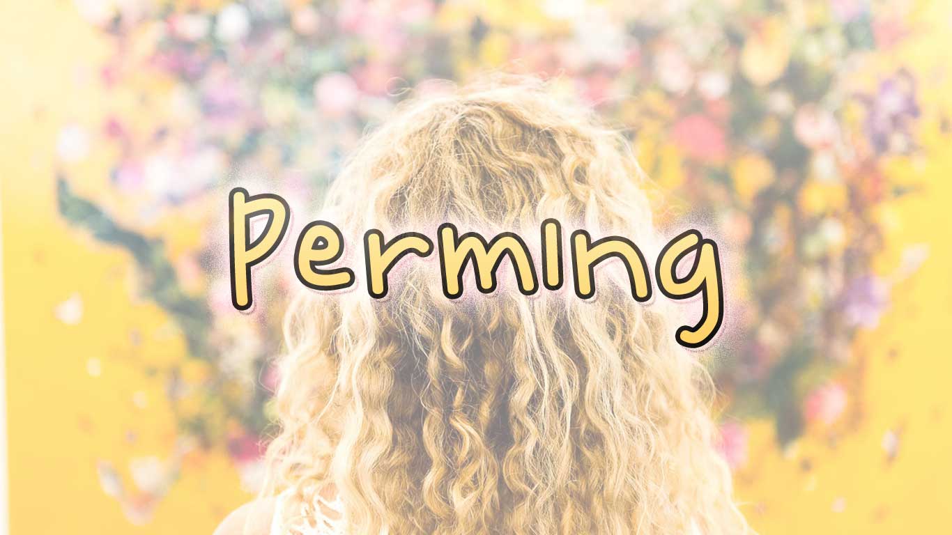 Logo for the Perming.com domain name