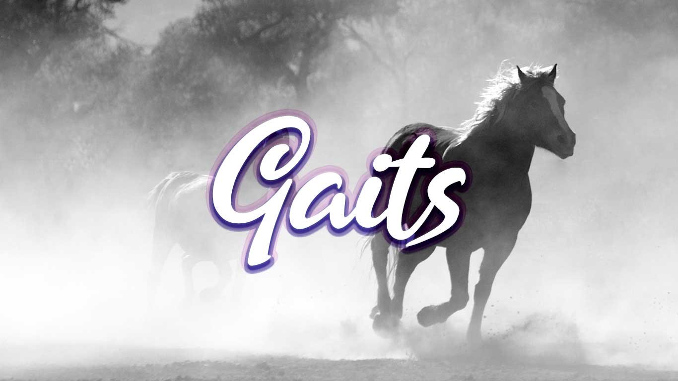 Logo for the Gaits.com domain name