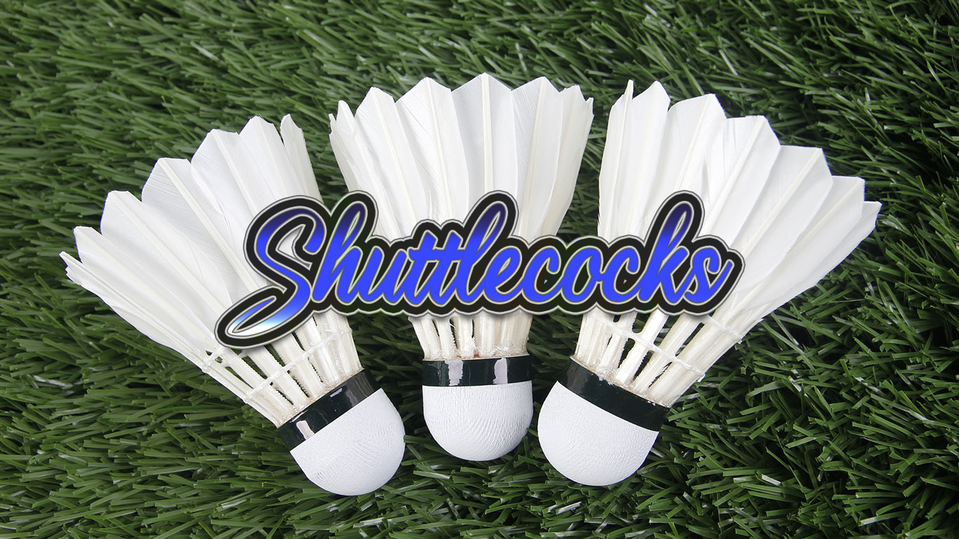 Logo for the Shuttlecocks.com domain name